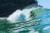 Surfe